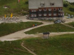 2013-09-08_6Falkenh-Steinfalk (355).JPG